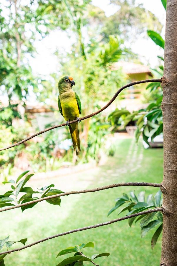 Pousada Casa Das Janas Trancoso Bagian luar foto